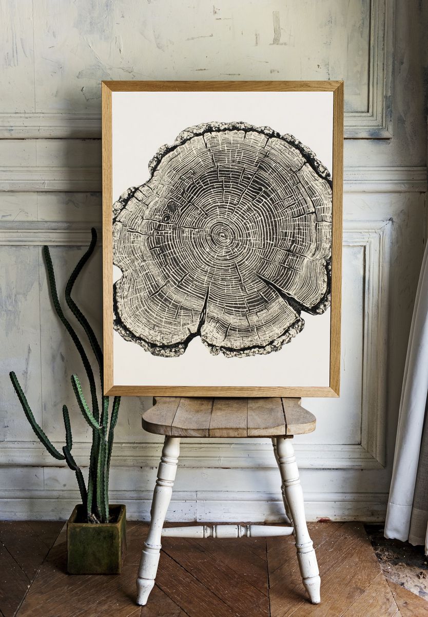 Tree Ring Botanical Print. room preview