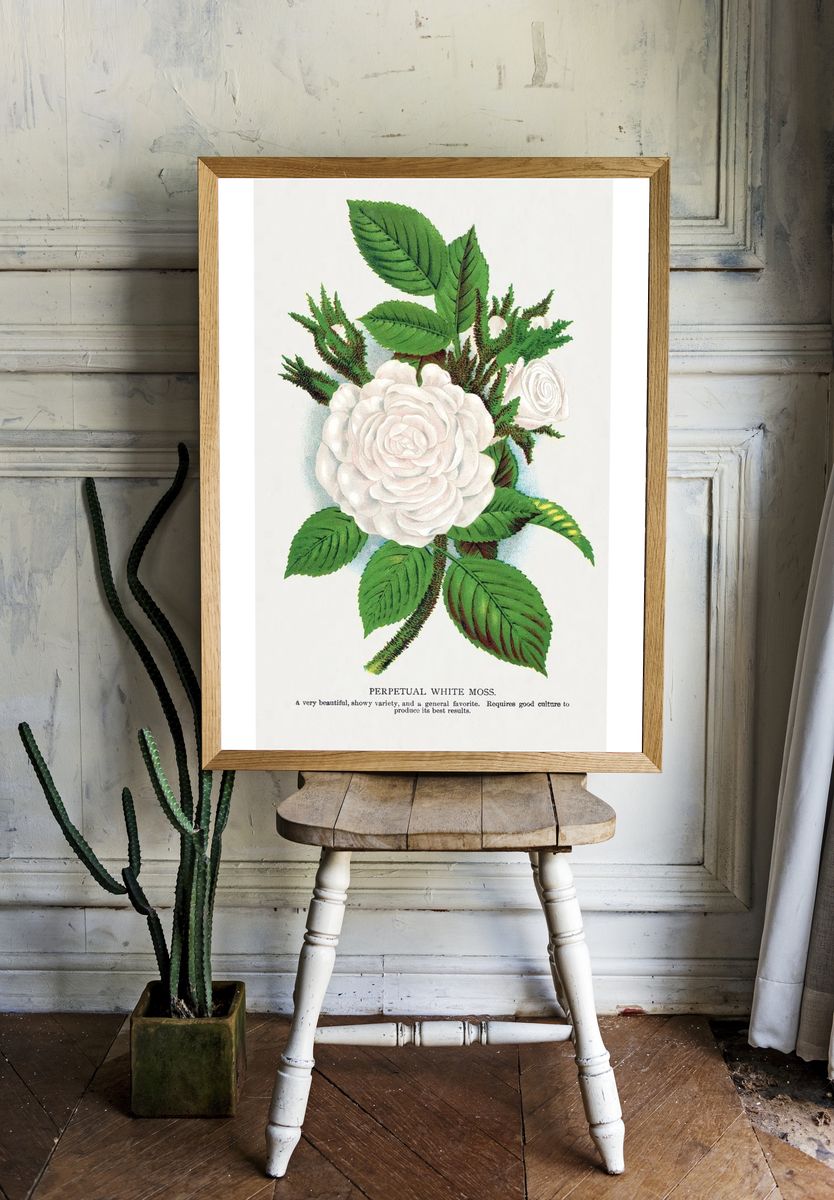 Perpetual White Moss Botanical Print room preview