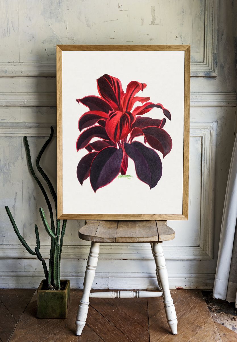 Hand drawn Hawaiian Ti plant. room preview