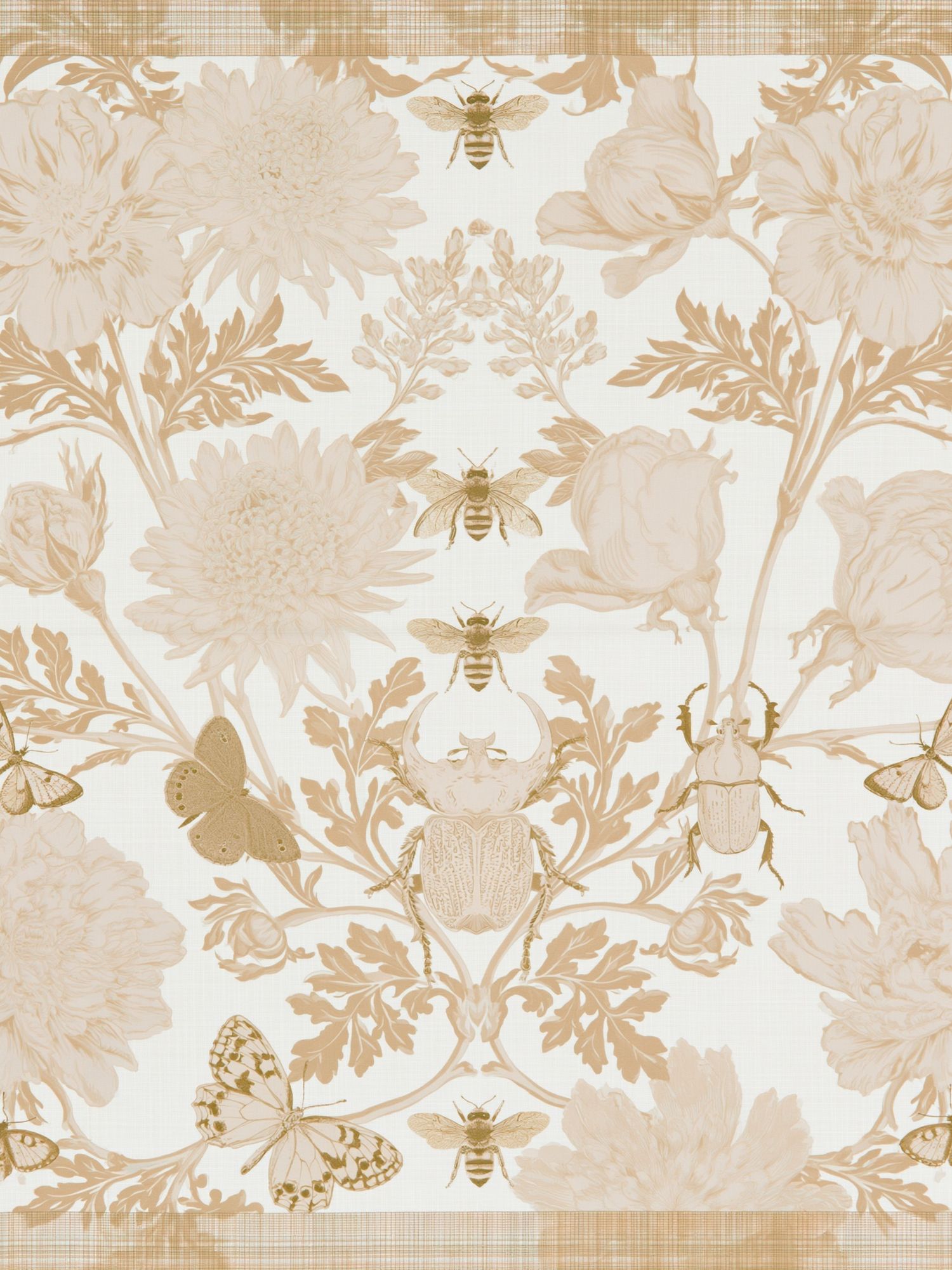 Botanical Insect Toile Print. poster — botanical art