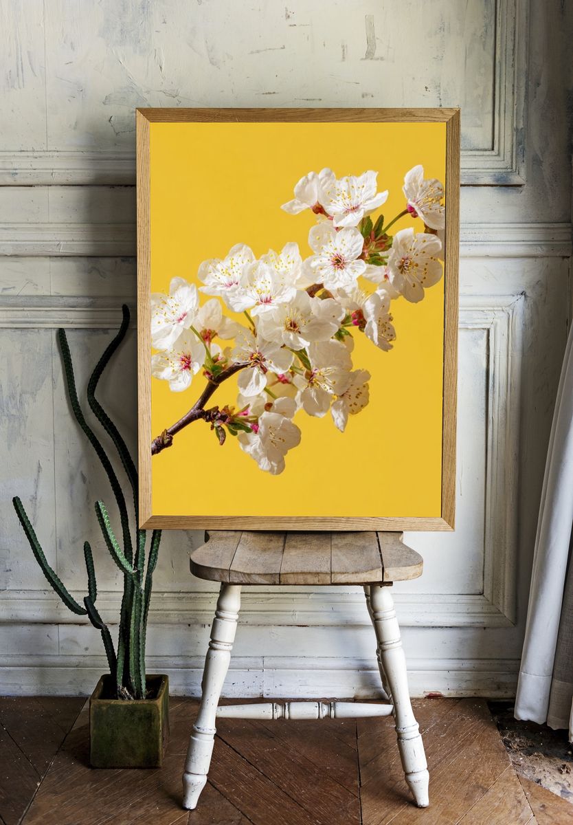 Cherry Blossom Branch Print room preview