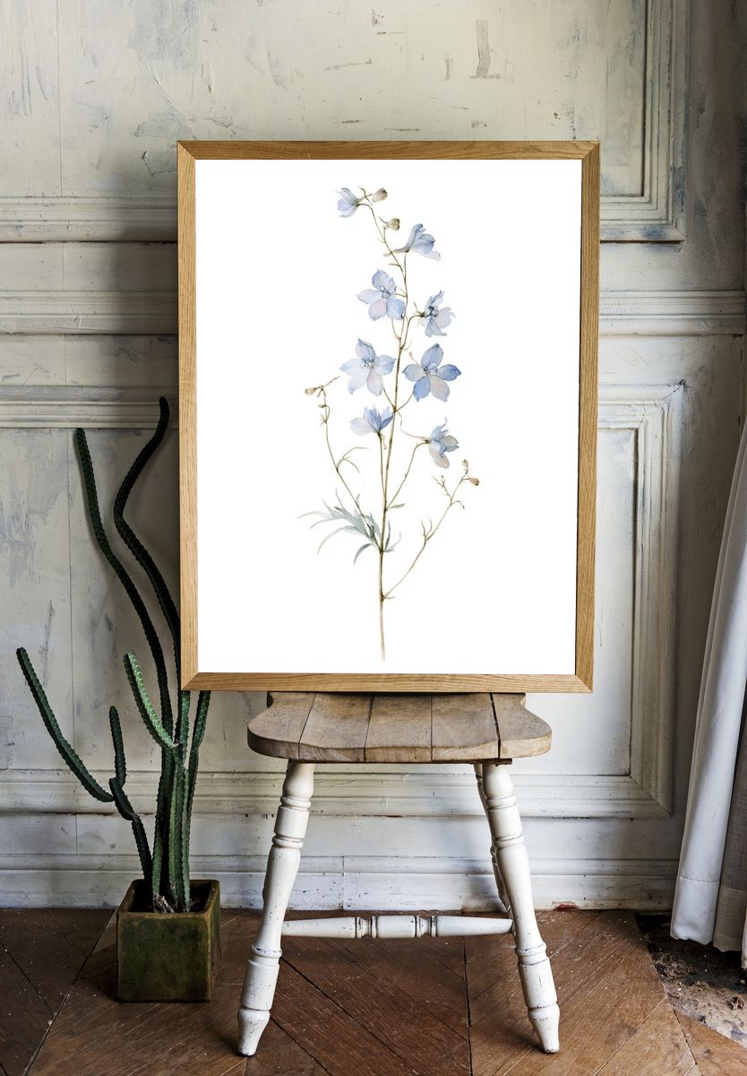 Blue Delphinium Botanical Print. — room view 1
