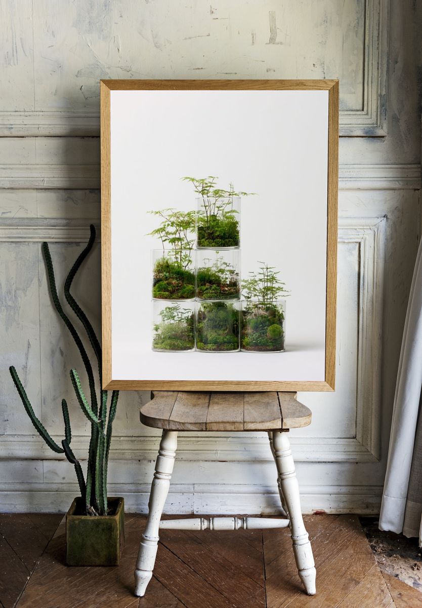 Terrarium Stacked Glass Poster. — room view 1