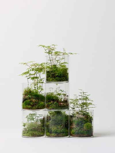 Terrarium Stacked Glass Poster. poster