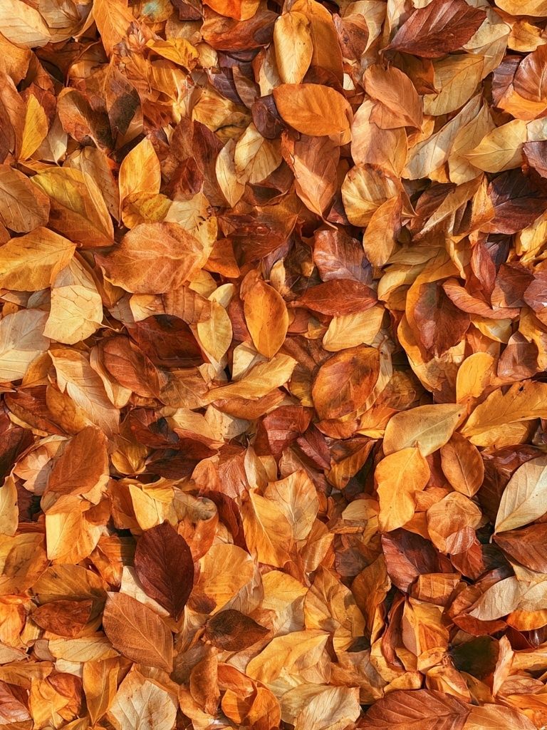 Autumn Leaves Texture Print. poster detail