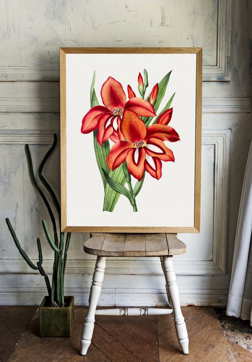 Vibrant Orchid Botanical Print room preview