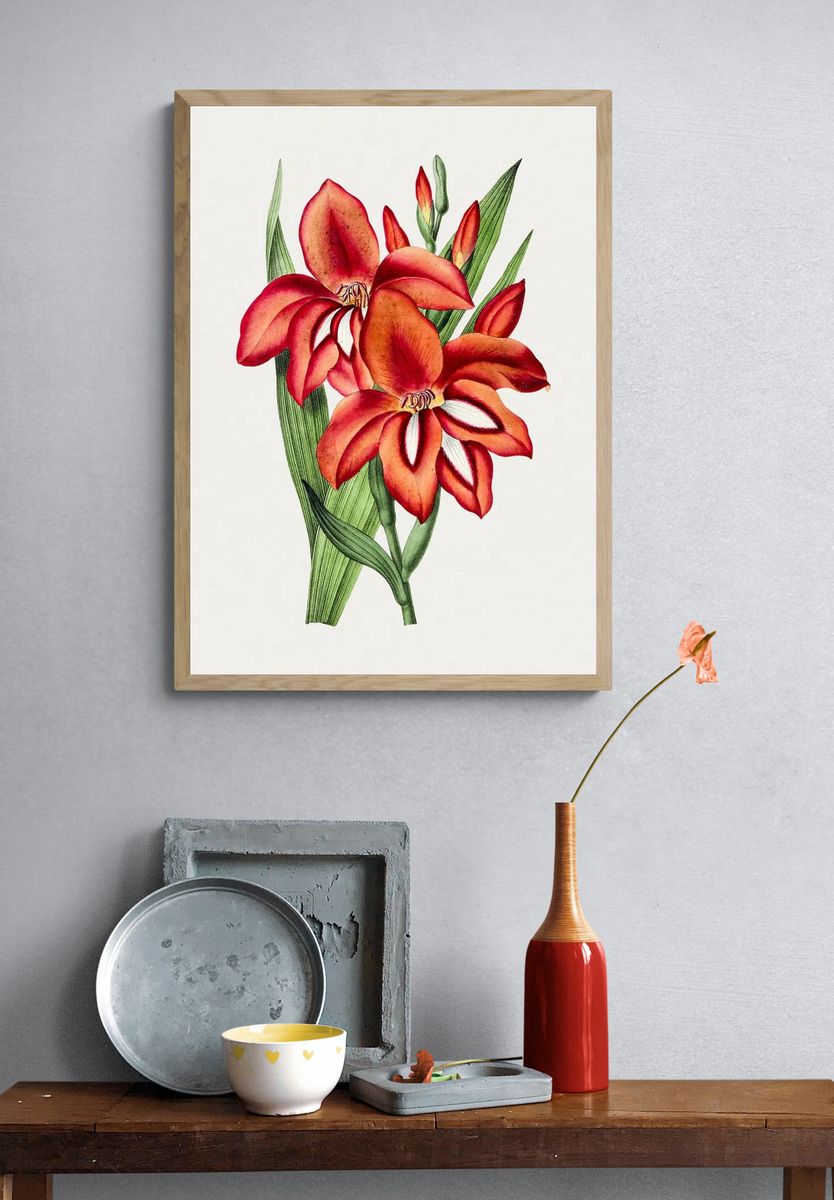 Vibrant Orchid Botanical Print. — room view 3
