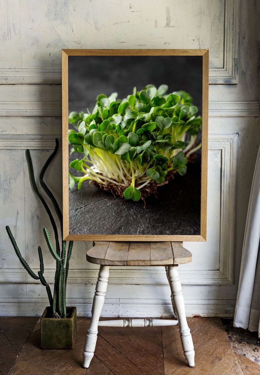 Microgreens Botanical Print room preview