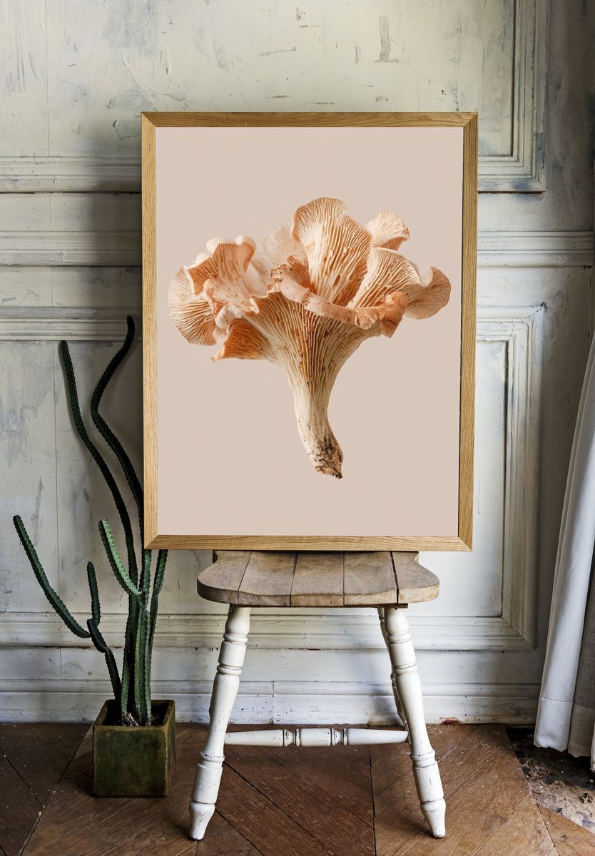 Oyster Mushroom Botanical Print room preview
