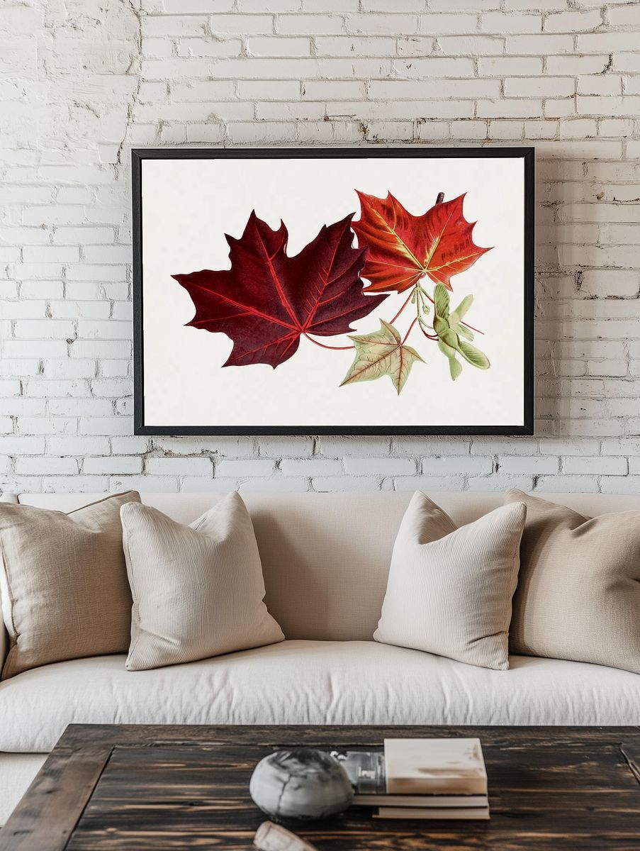 Hand drawn red maple leaves. — room view 1