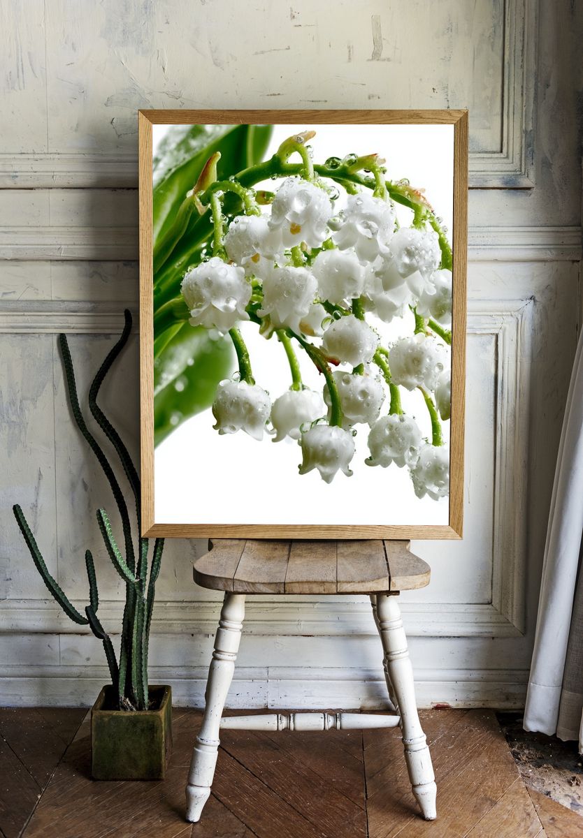 Lily of the Valley Botanical Print. — room view 1