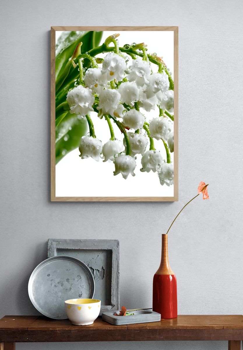 Lily of the Valley Botanical Print. — room view 3