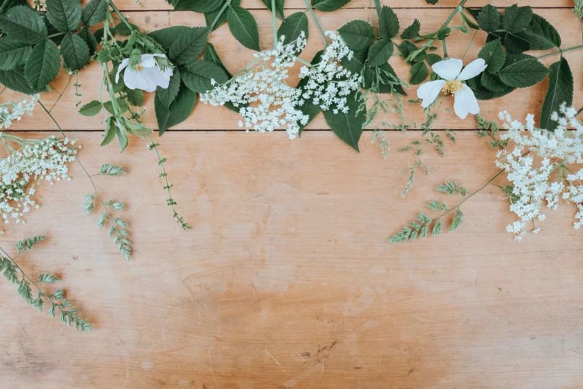 Flower wallpaper, aesthetic HD nature. poster — botanical art