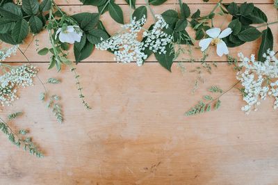 Flower wallpaper, aesthetic HD nature. poster