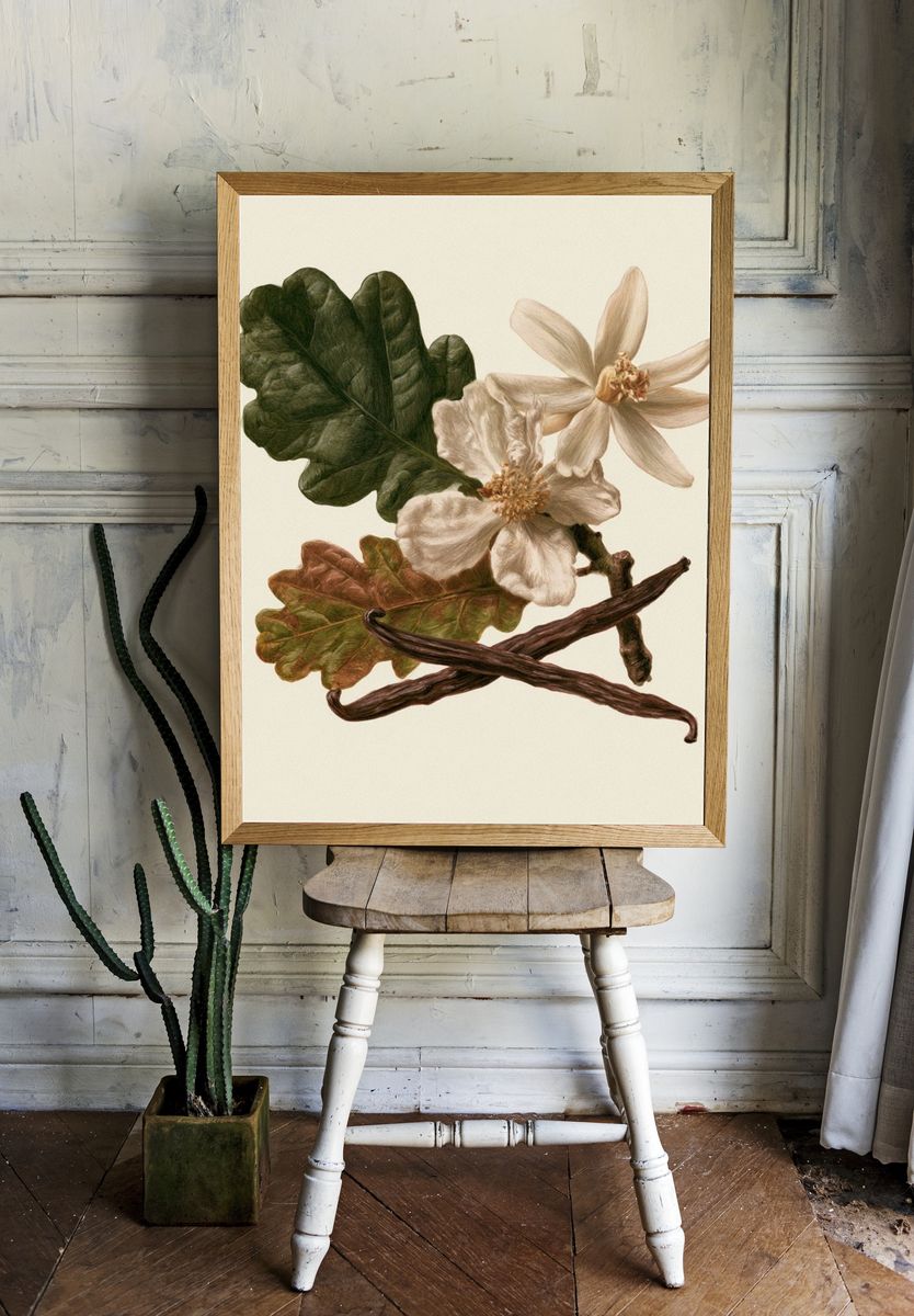 Botanical Study — Vintage Print. — room view 1