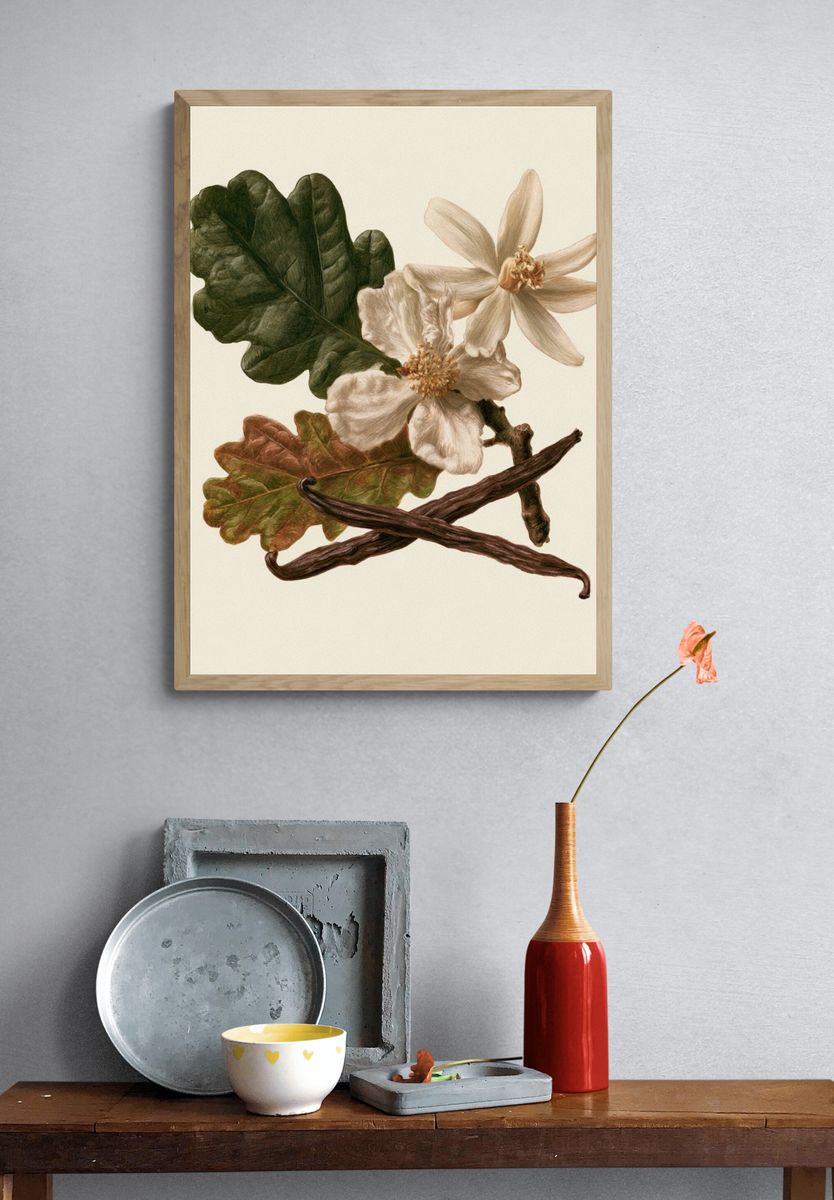 Botanical Study — Vintage Print. — room view 3