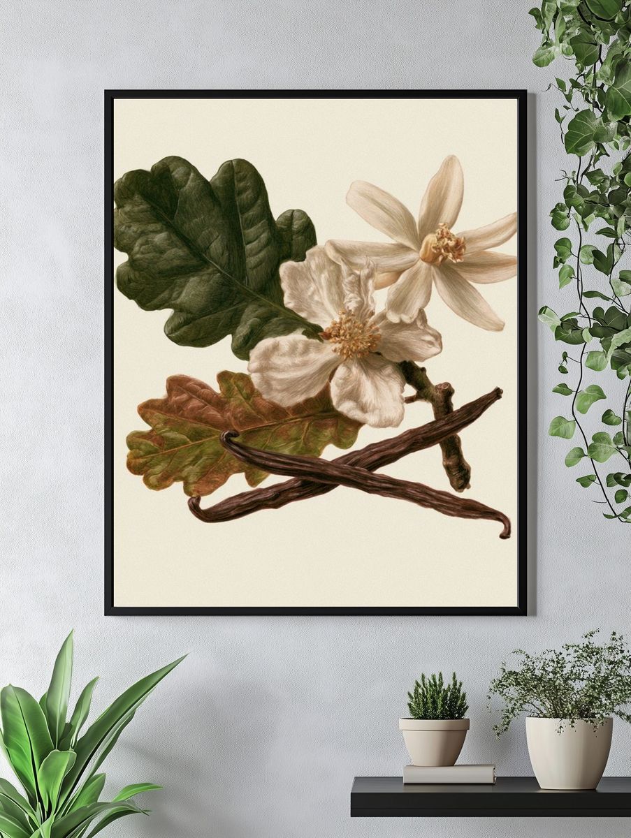 Botanical Study — Vintage Print. — room view 4