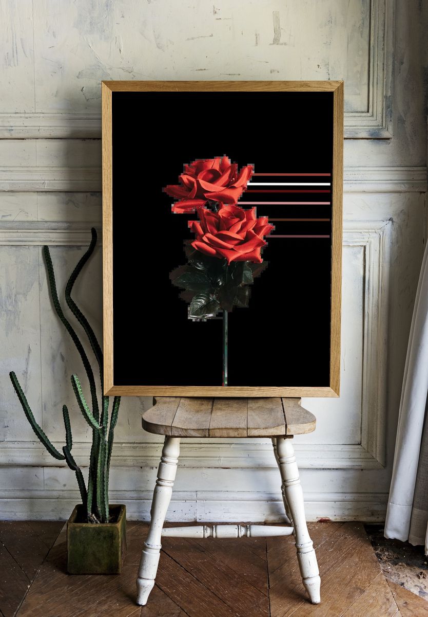 Beautiful red rose valentines day. room preview