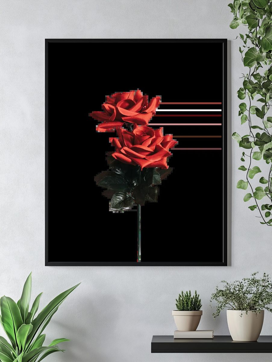 Beautiful red rose valentines day. — room view 4