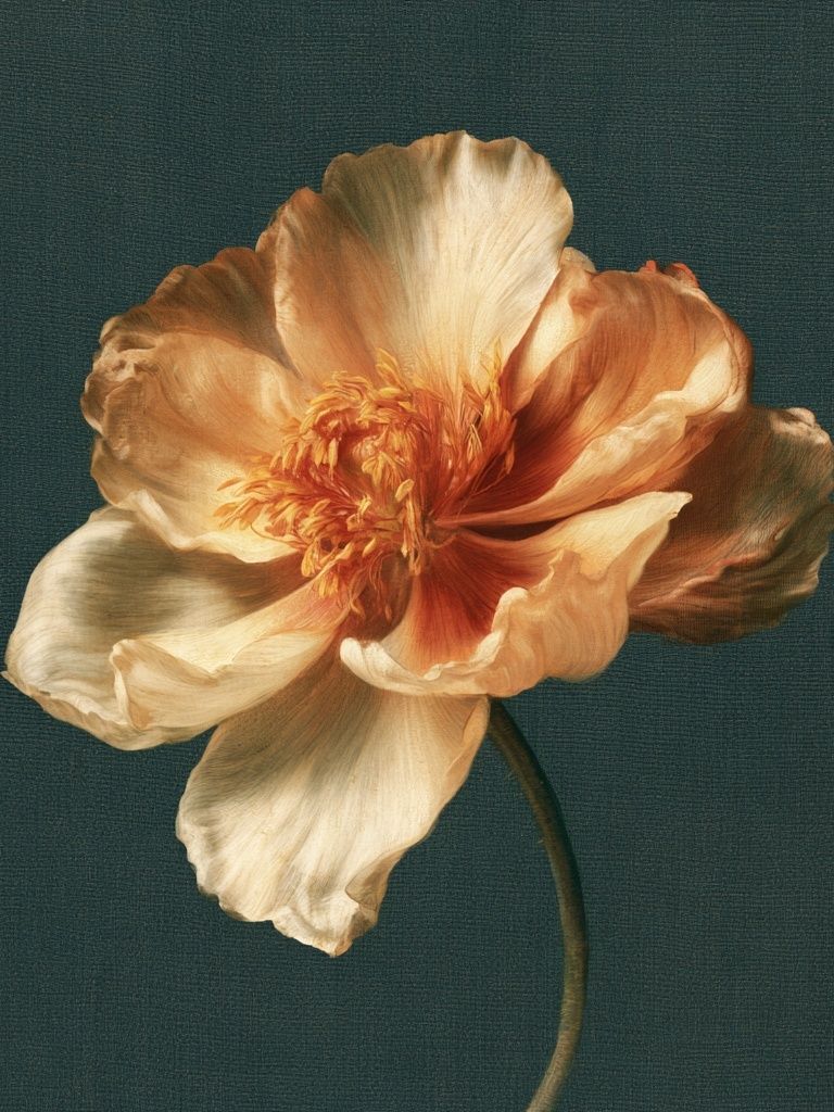Peach Bloom Botanical Print. poster detail