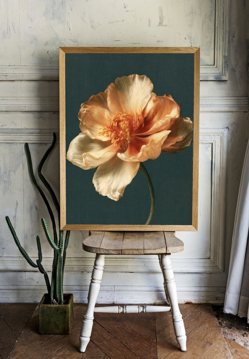 Peach Bloom Botanical Print. room preview