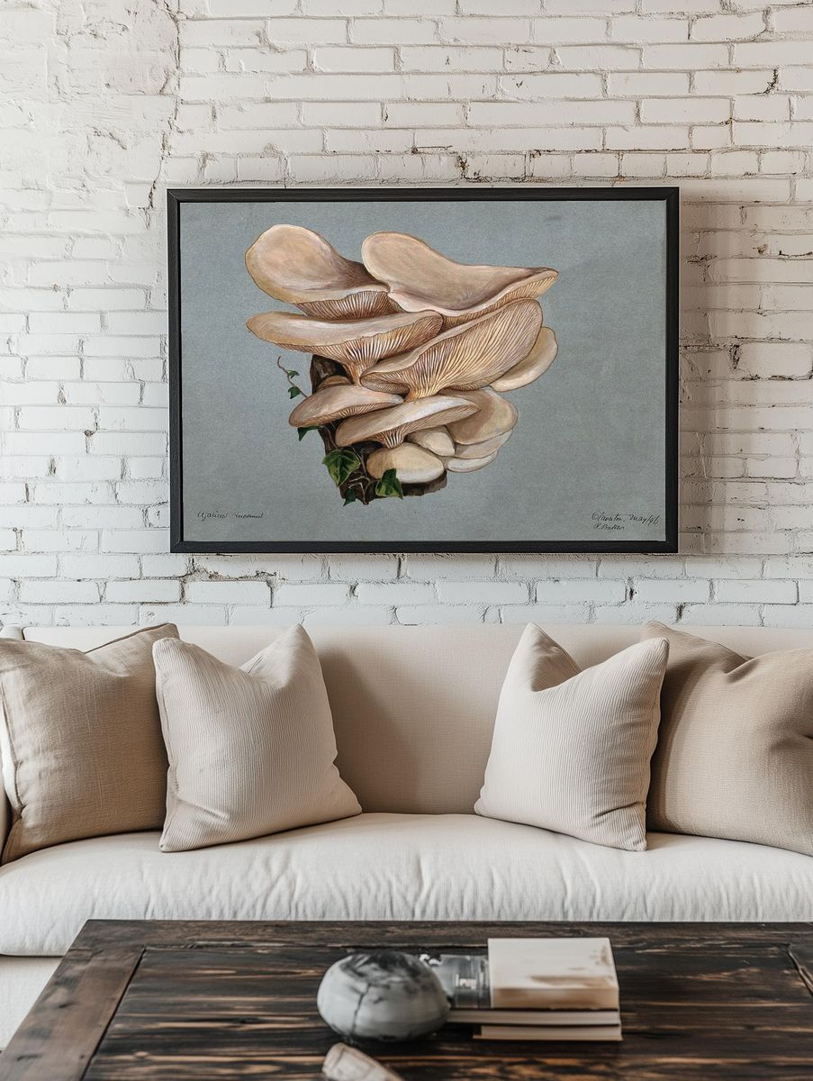 Mushroom Study — Botanical Print. room preview