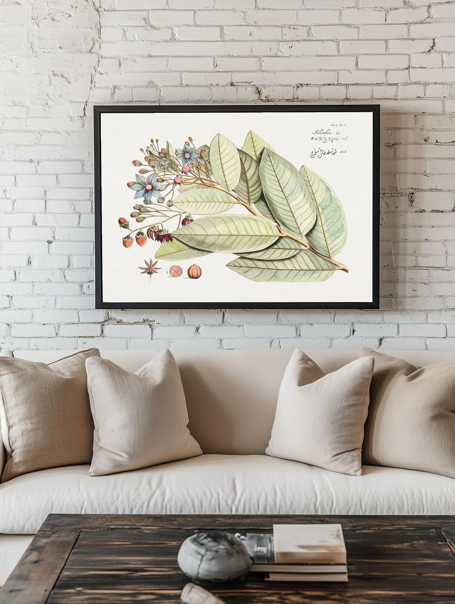 Botanical Illustration of Leaves and Flowers — Art Print room preview