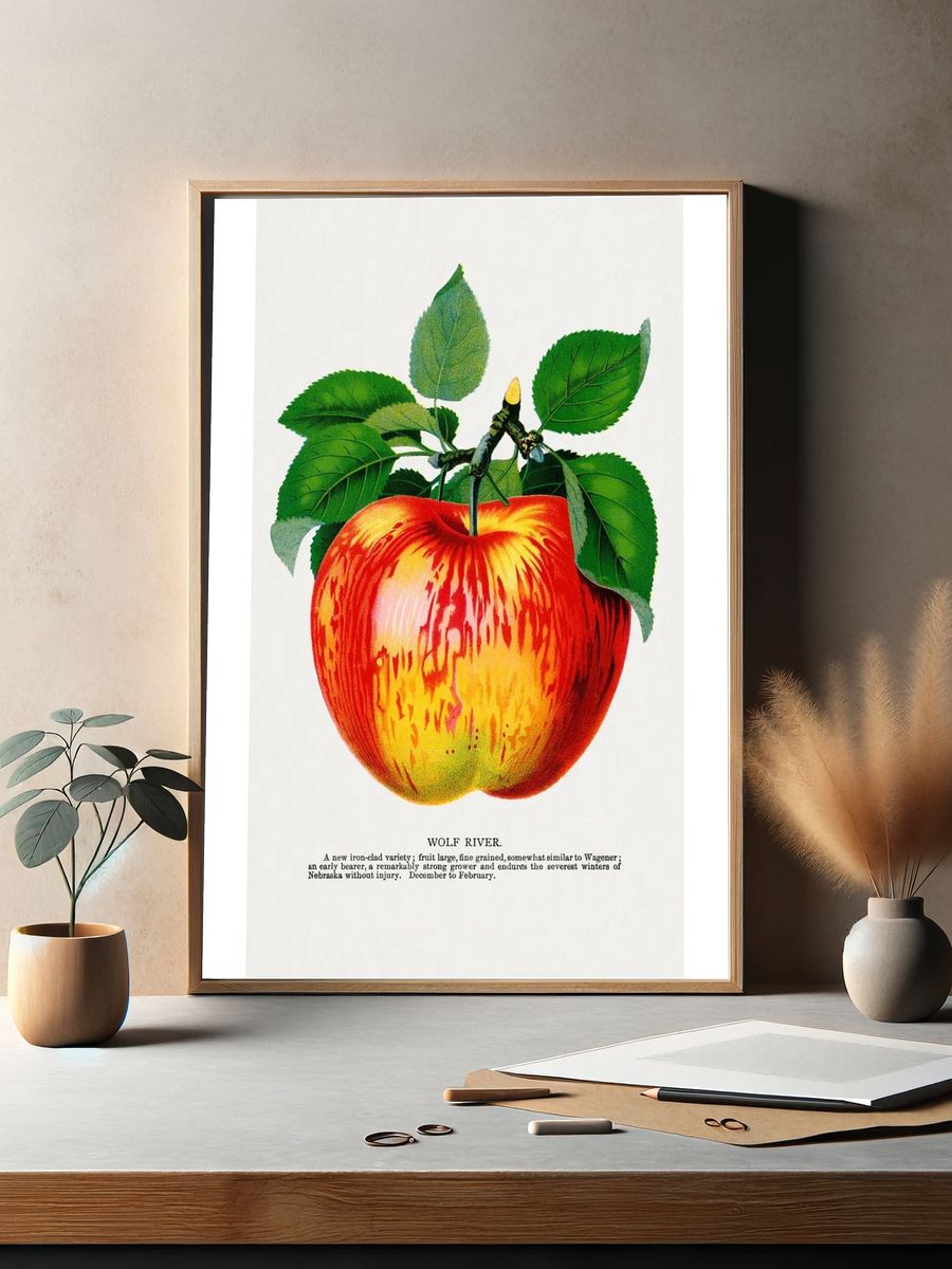 Wolf River apple lithograph. Digitally. — room view 2