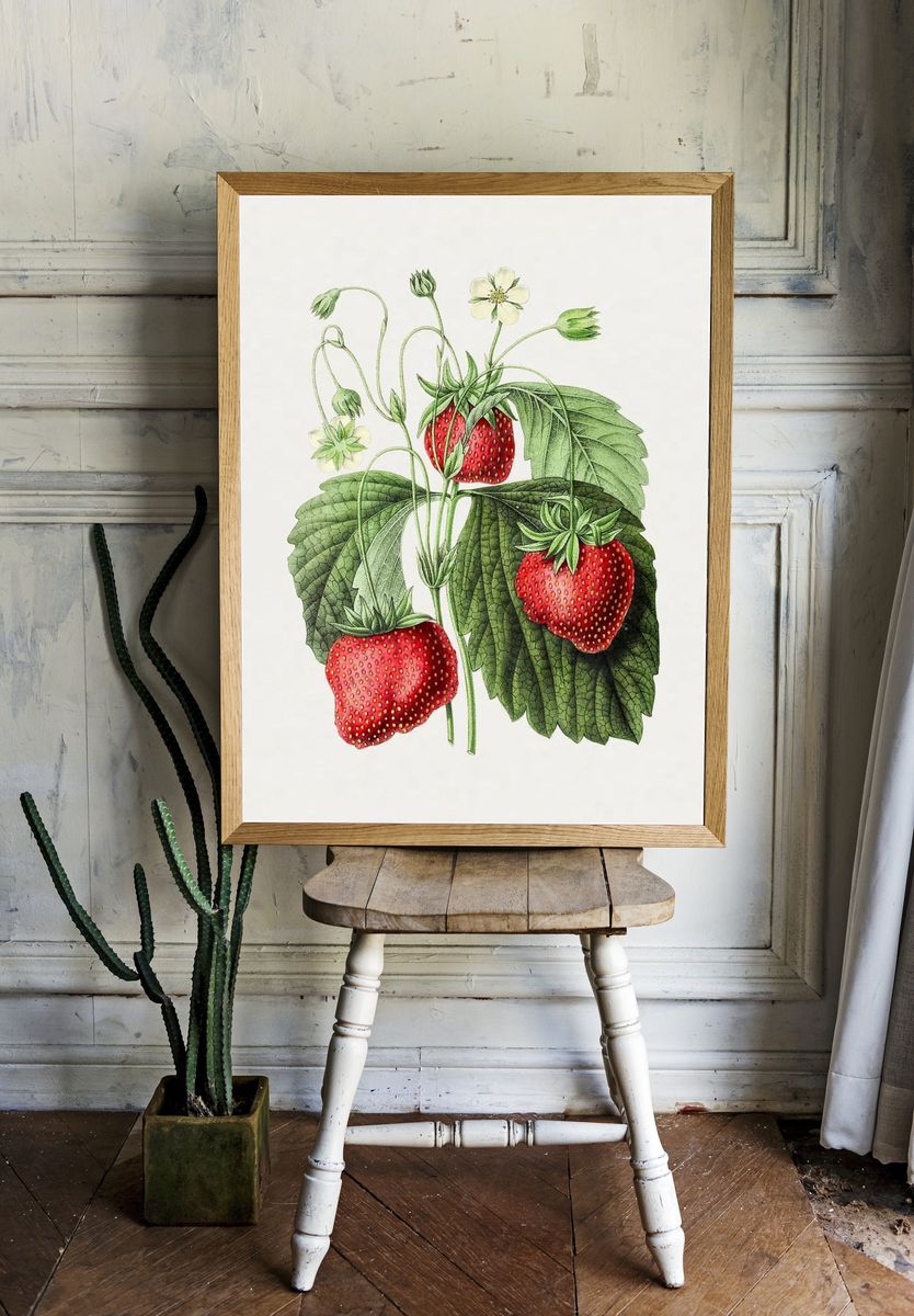 Vintage strawberry. Original Biodiversity Heritage. room preview