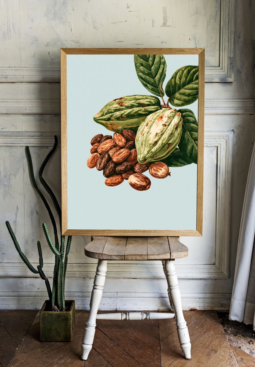 Cacao Pods Botanical Print. — room view 1
