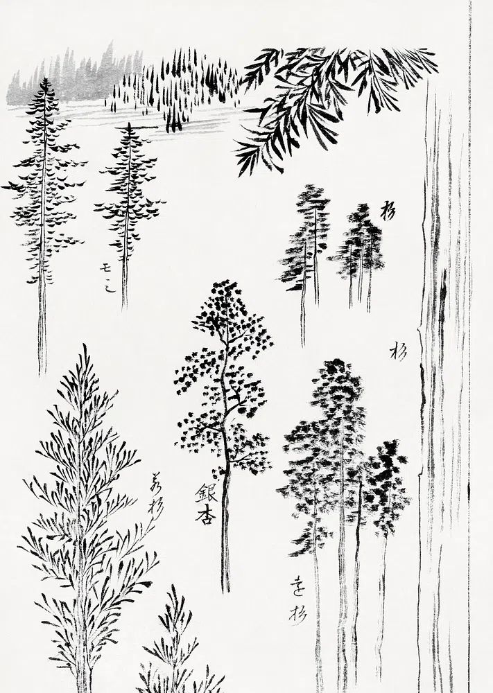 Hokusai's pine trees (1800-1900) vintage. poster — botanical art