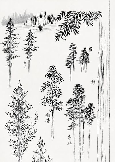 Hokusai's pine trees (1800-1900) vintage. poster print
