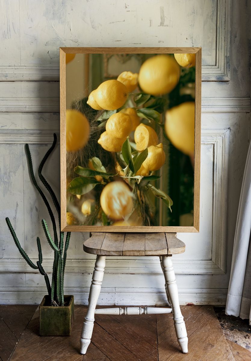 Lemon Branch Still Life Print. room preview