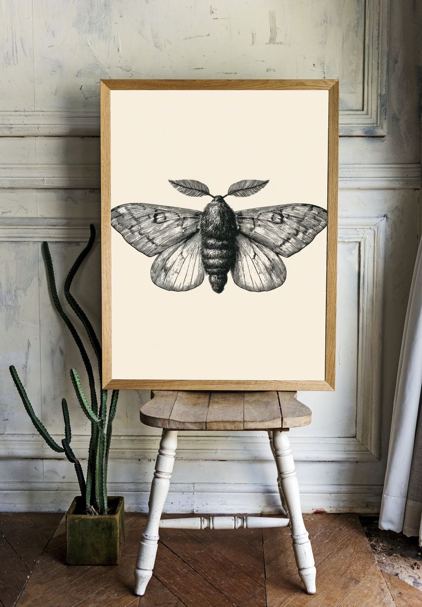 Moth Botanical Line Art Poster. — room view 1