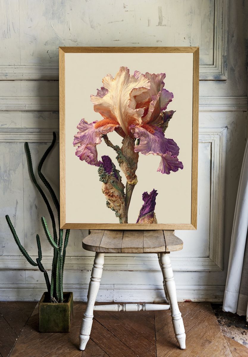 Pressed Iris Botanical Print. room preview