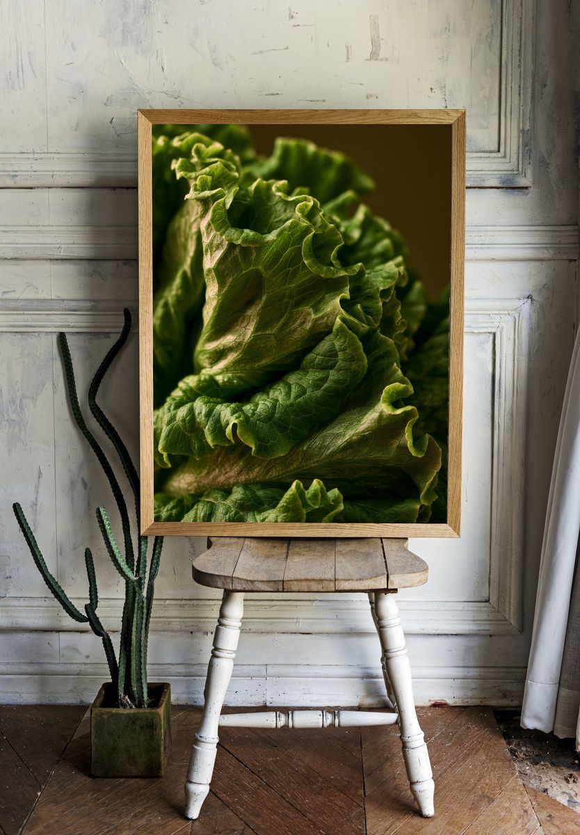 Lettuce Macro Photography Poster. — room view 1