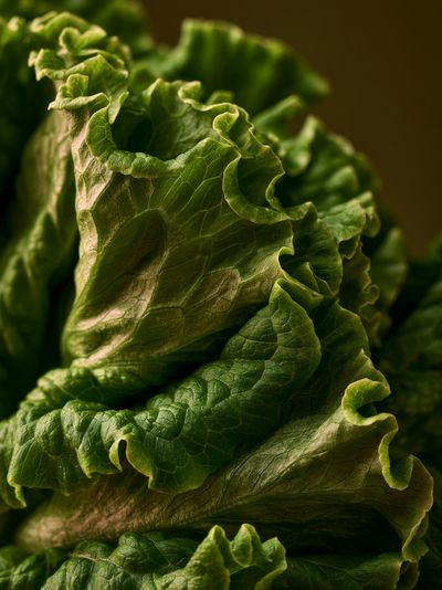 Lettuce Macro Photography Poster.