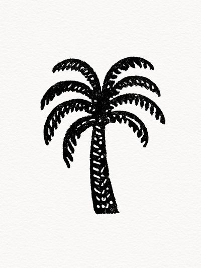 Palm Tree Line-Art Poster. poster