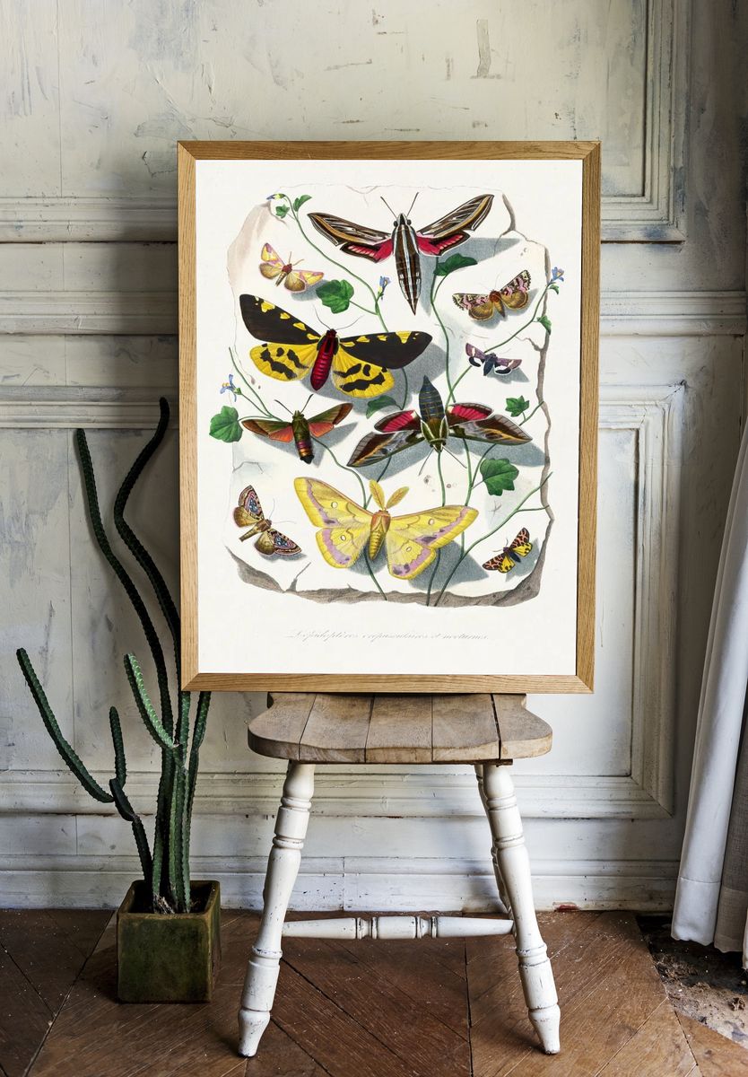 Butterfly & moth painting. Digitally. — room view 1