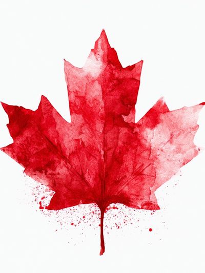 Red Maple Leaf Watercolor Print. poster