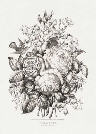 Roses bluebells (1870) chromolithograph art. poster