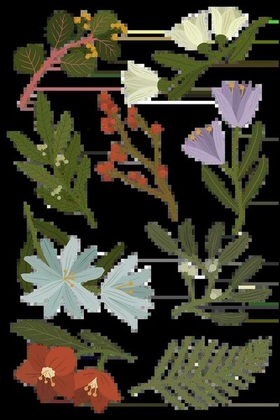 Floating Blossoms Forest Print. poster print