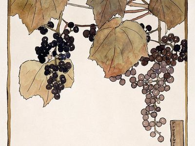 Frost Grape (1915) Hannah Borger. poster print