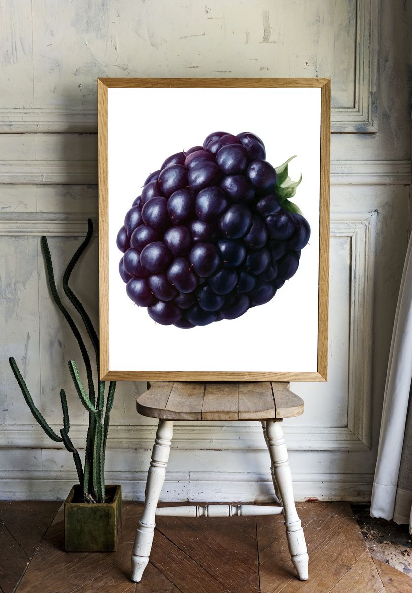 Blackberry Still Life Illustration Poster. — room view 1