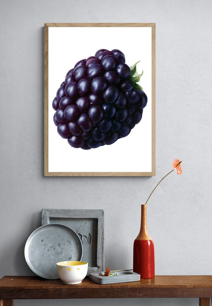 Blackberry Still Life Illustration Poster. — room view 3