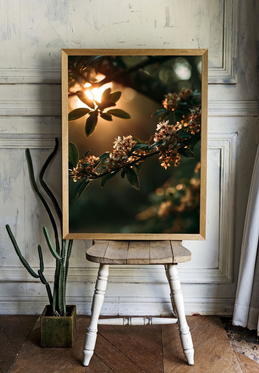 Golden Blossom Branch Photography Poster. room preview