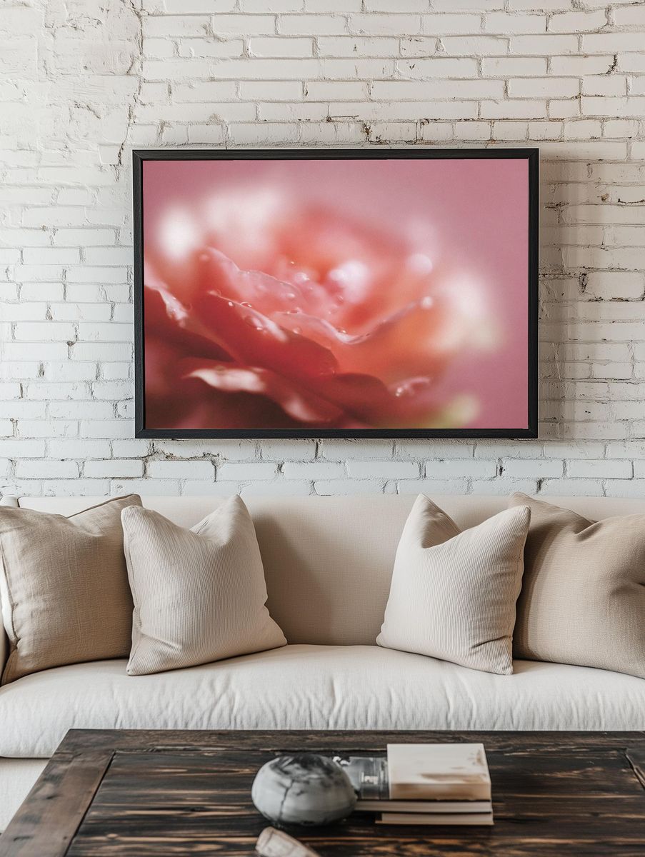 Soft Pink Flower Macro Print room preview