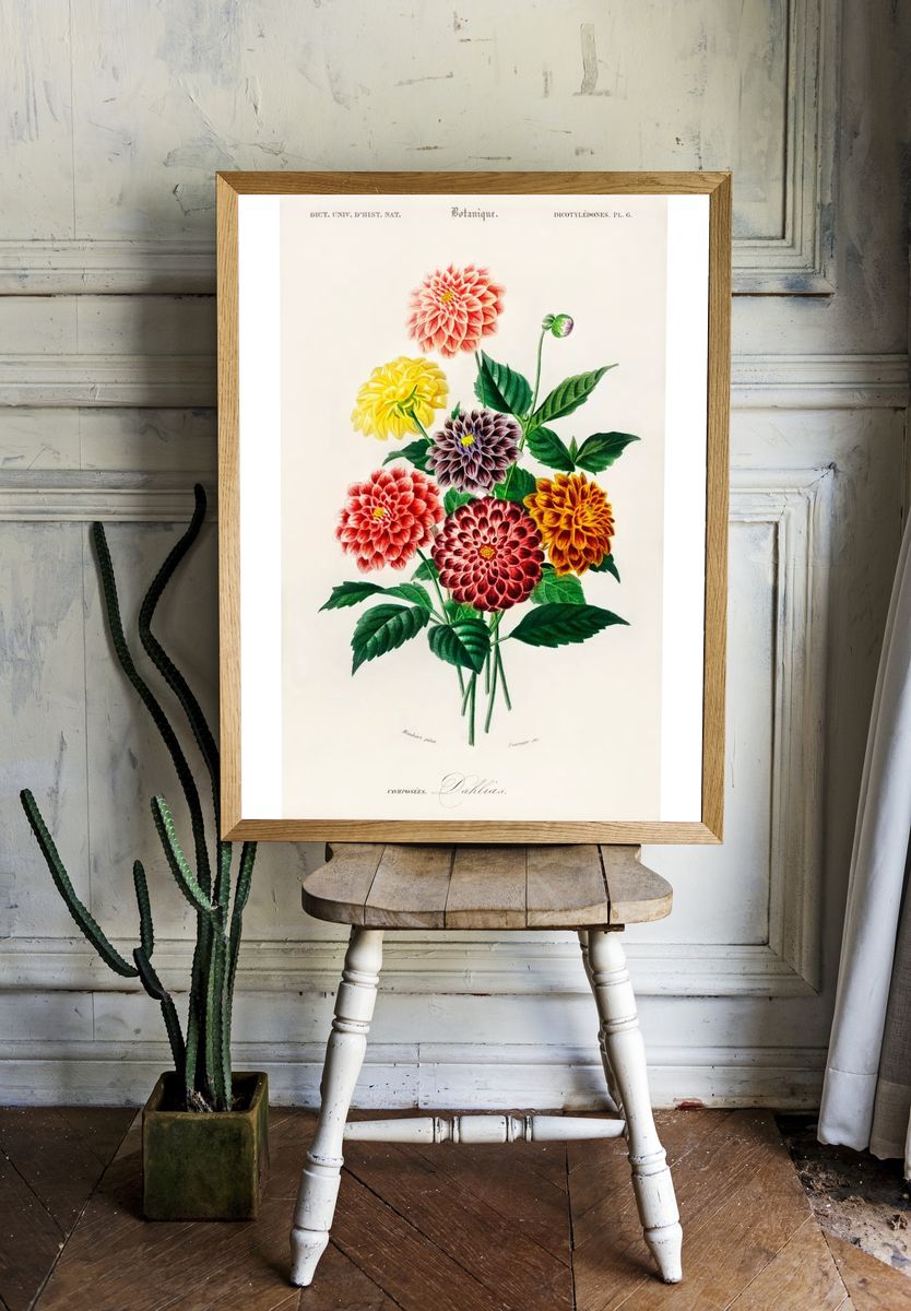 Dahlia illustrated Charles Dessalines D'. room preview