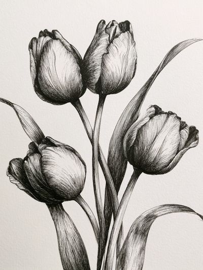 Tulip Bouquet Ink Print.