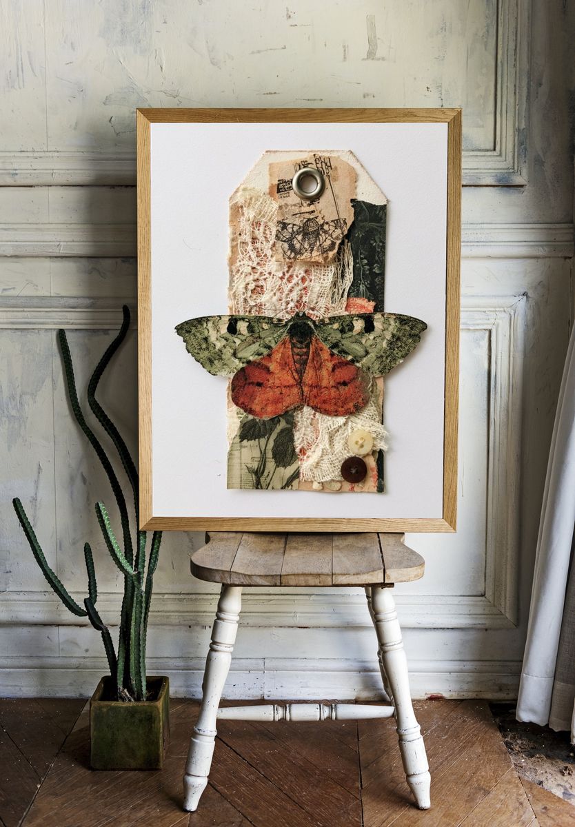 Vintage Moth Collage Poster. room preview
